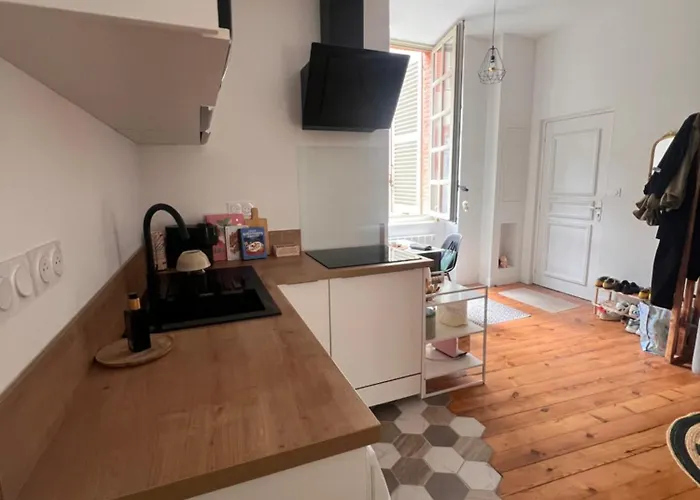 アパート Happy Carmes トゥールーズ